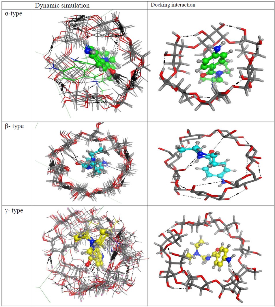 Figure 6 Structure of procainamide and α-, β-, or γ-CD inclusion complex.
