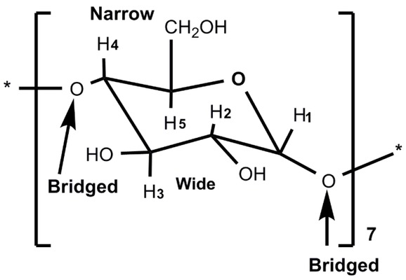 Figure 7 Structure of β-CD and its oligosaccharide unit.