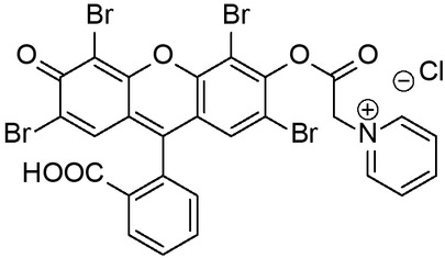 Scheme 1 Chemical structure of quaternary eosin Y (E).