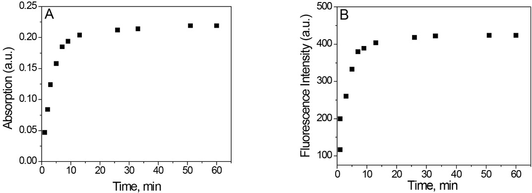 Figure 4 Absorption (A) and fluorescence (B) release profile of E from cotton matrix in aqueous solution at pH = 7.2 at 25oC for 60 min.
