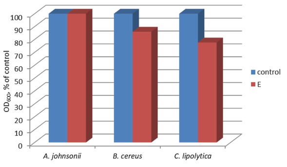 Figure 6 Effect of cotton fabric treated with compound E on growth development (quantified by OD at 600 nm) of the indicated model microbial strains.