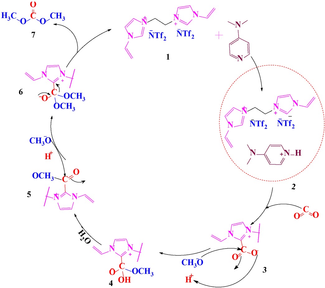 Scheme 4 Proposed mechanism for DMC synthesis catalyzed by vinyl-imidazolium RTILs.