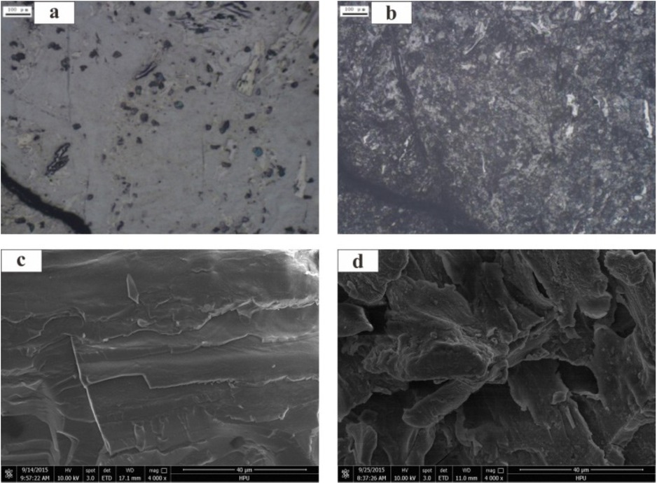 Figure 6 Surface observation of coal before and after NaOH solution treatment (a) the original coal observed by microscope (100×); (b) 0.5 mol/L NaOH soaked coal observed by microscope (100×); (c) the original coal observed by SEM (4000×); (d) 0.5 mol/L NaOH soaked coal observed by SEM (4000×).