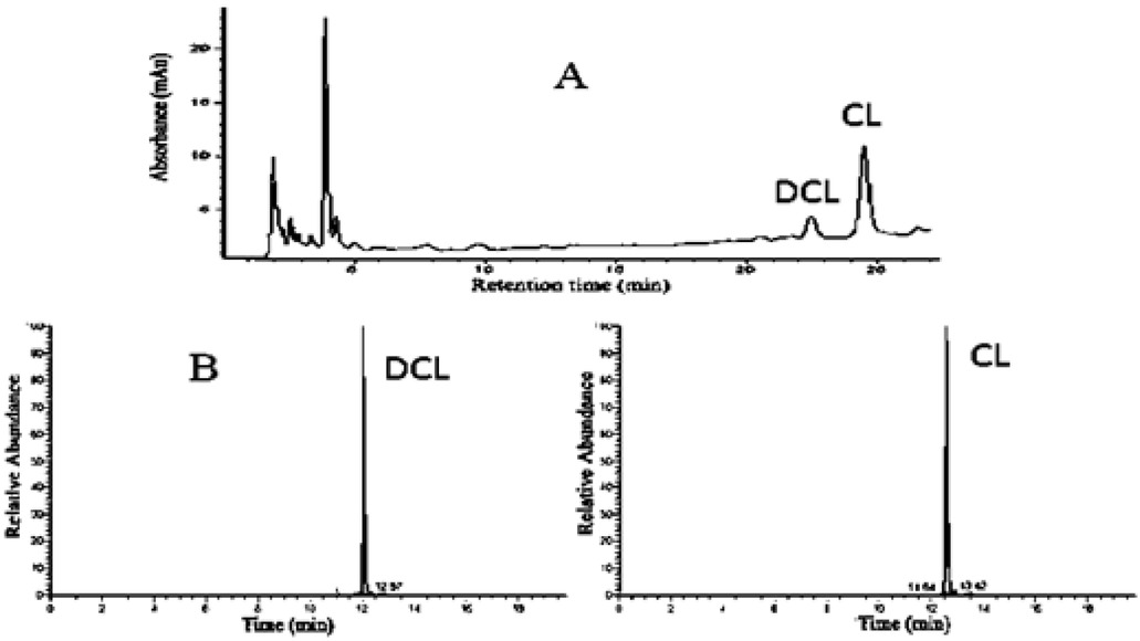 Figure 6 Chromatograms obtained using the HPLC-DAD (A) and HPLC-MS (B) methods for serum sample obtained from a patient treated with clozapine in chromatographic systems: A) Phenyl-Hexyl column; mobile phase containing MeOH, acetate buffer pH 3.5 (20%), DEA (0.025 M/L); gradient II (see Table 1); B) Hypersil Gold column; mobile phase containing acetonitrile and 25 mM ammonium formate in water, pH 4.5; gradient III (see Table 1).