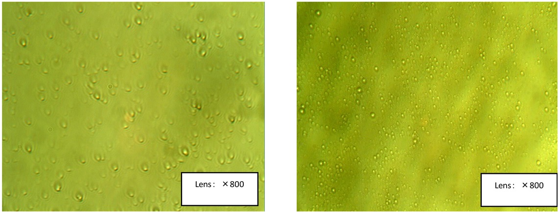 Figure 3 Emulsions before heating (a) Emulsion prepared using span-80; (b) Emulsion prepared using DQGE-I.