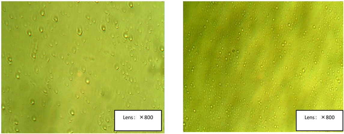 Figure 4 Emulsions after heating (a) Emulsion prepared using span-80; (b) Emulsion prepared using DQGE-I.
