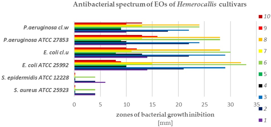 Figure 4 Range of antibacterial spectrum of EOs of Hemerocallis cultivars tested against Gram-negative and Gram-positive bacterial strains.