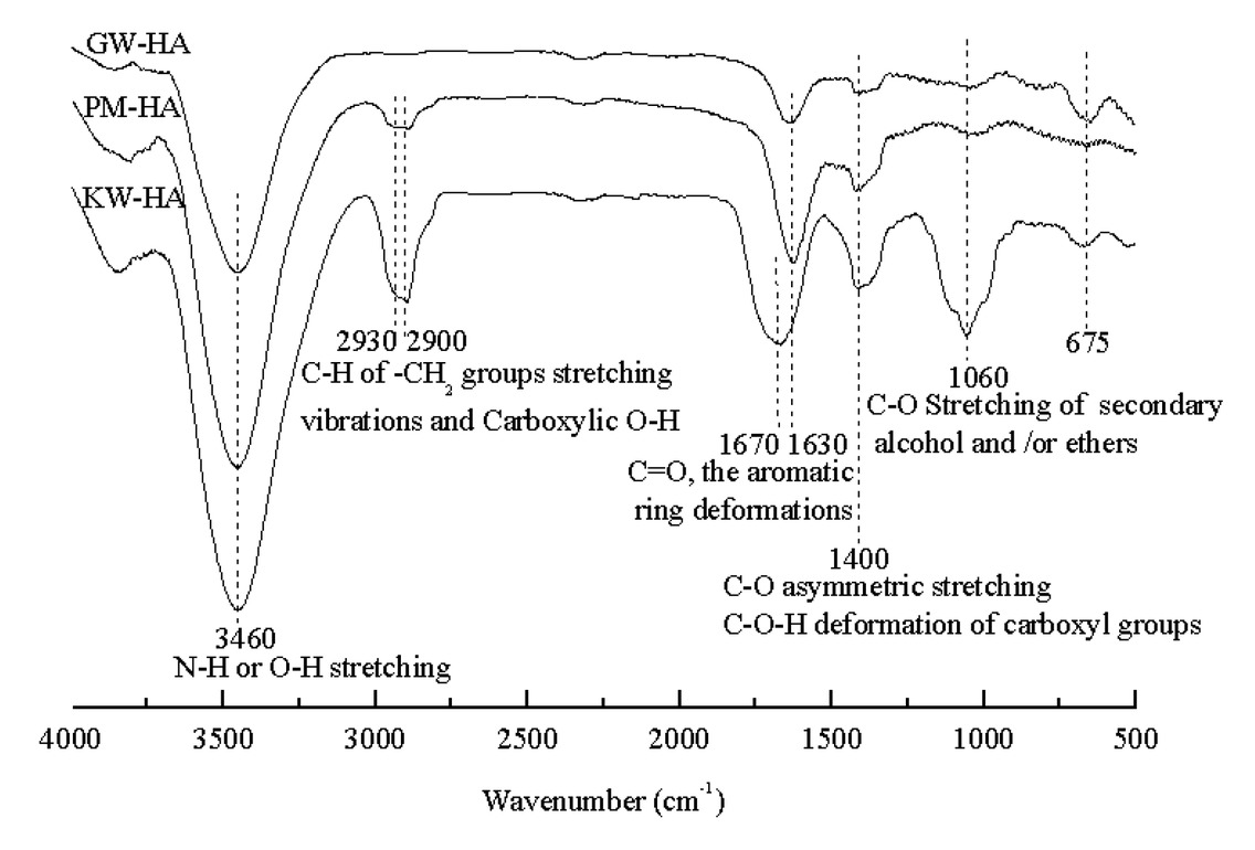 Figure 1 Fourier transform-infrared spectra of HAs extracted from KW, PM and GW.
