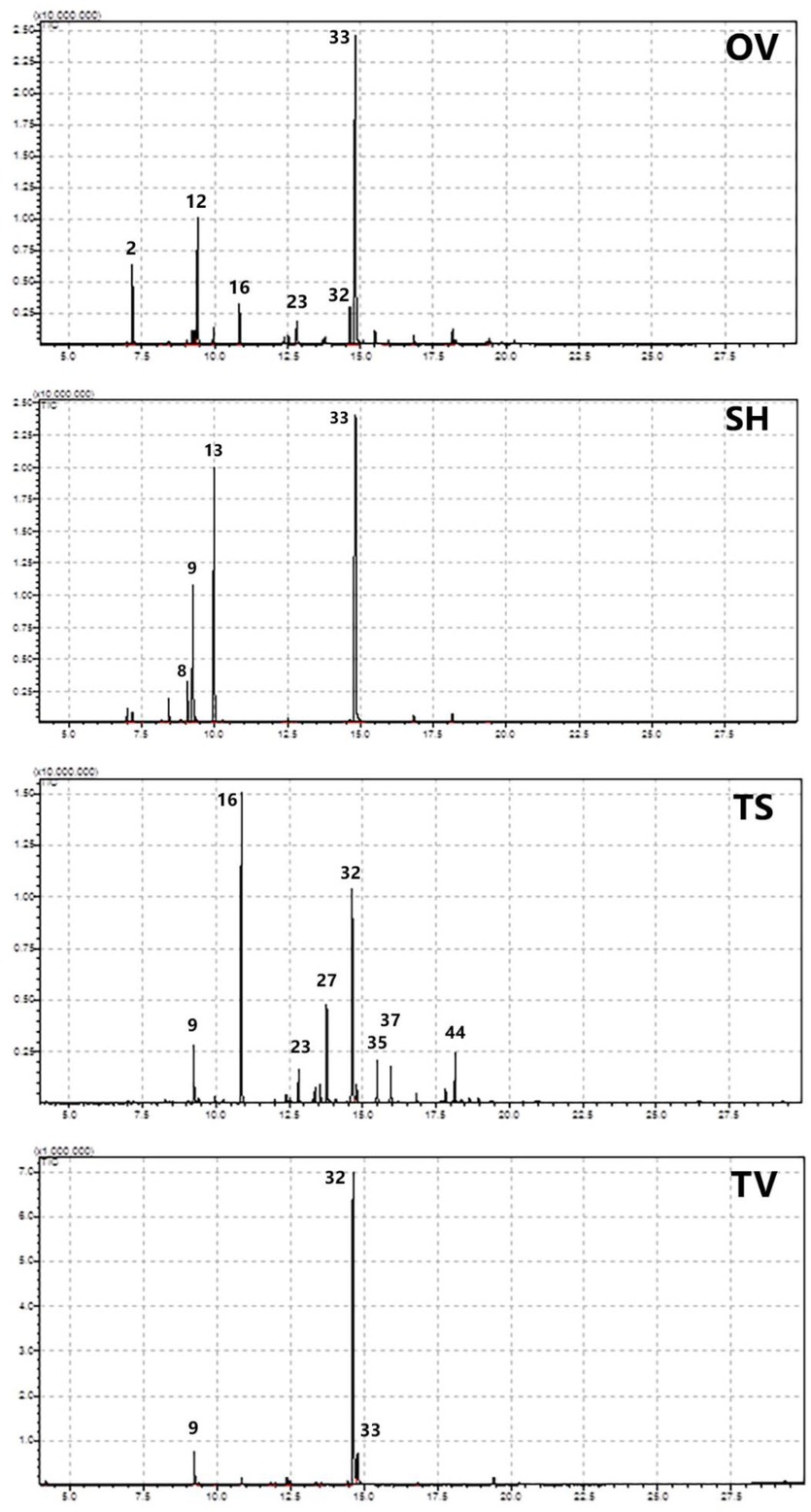 Figure 1 Total ion chromatograms (TIC’s) of tested essential oils. OV: Origanum vulgare, SH: Satureja hortensis, TS: Thymus serpyllum, TV: Thymus vulgaris. (Number of compounds see Tab. 1).