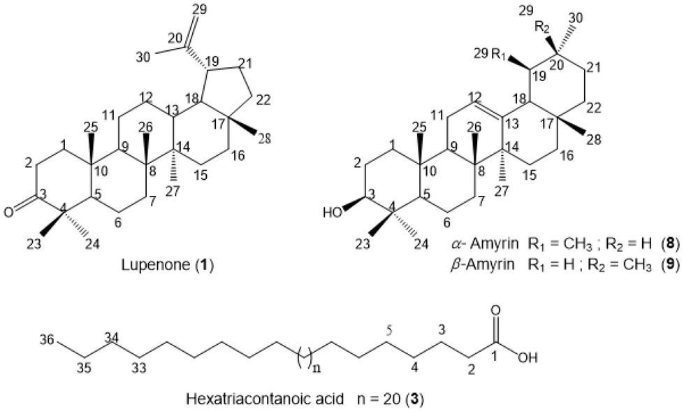 Figure 1 Structures of the compounds isolated.