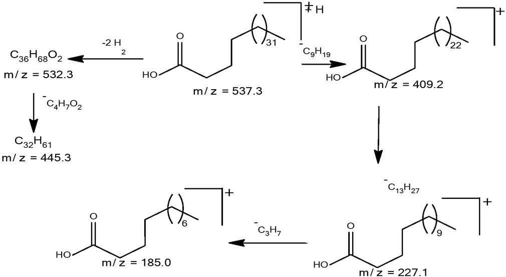 Figure 2 Proposed fragmentation pattern of compound 3.