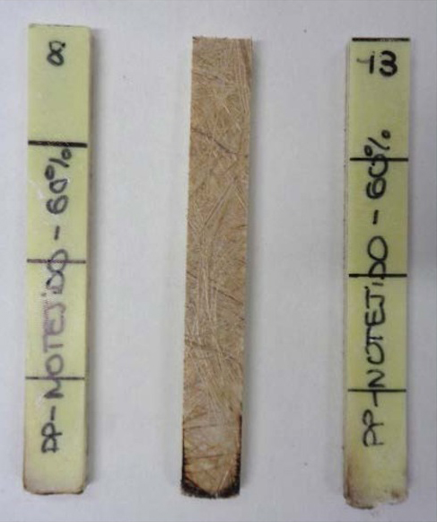 Figure 12 Samples of banana nonwoven with 60% magnesium hydroxide after fire test.