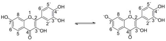 Figure 6 Fisetin protonated and deprotonated species. Fisetin pKa of OH group at C7 position is 7.27 in water environment. Various eye drops differ in pH values resulting in the different ratio between protonated and deprotonated fisetin species.