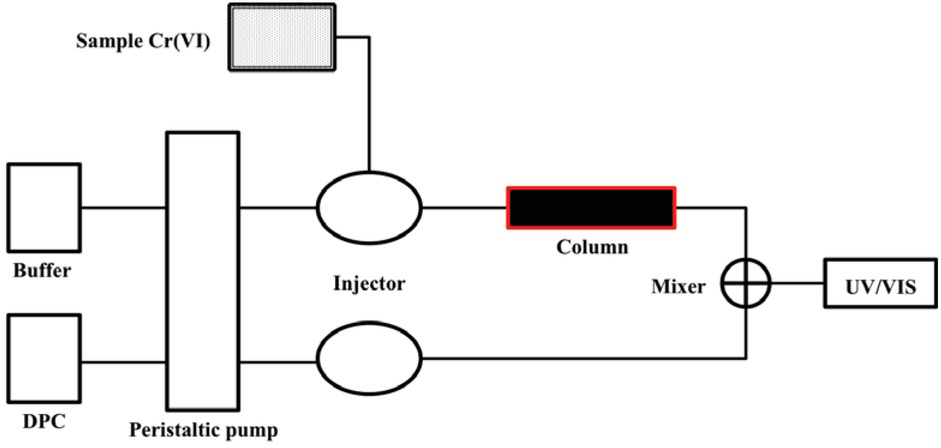 Scheme 1 A schematic representation of the over all setup of CFS.
