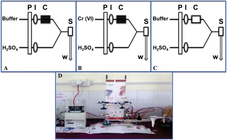 Figure 1 Flow injection manifolds and procedure (A) preconcentration, (B) washing and (C) elution and (D) image of the flow system used in this study (where P, I, C, S and w represents pump, injector, column, spectrophotometer and waste).