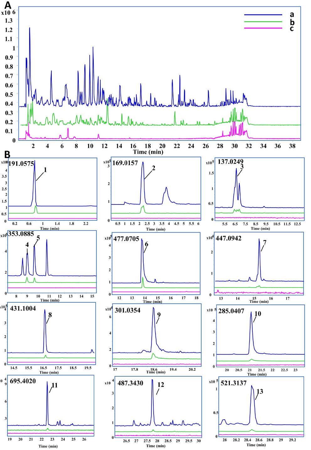 Figure 1 The total ion chromatograms of the chemical constituents in rat serum followed by oral administration of CP extract. Total ion chromatograms (TICs) in negative mode of CP extract (a, blue line), serum samples of rats following oral administration of CP extract for 30 minutes (b, green line), and blank plasma samples (c, purple line). (A) The overall profile of ion chromatograms; (B) Enlarged ion chromatograms of potential active absorbed components.(1) quinic acid, (2) gallic acid, (3) p-hydroxybenzoic acid, (4) neochlorogenic acid, (5) chlorogenic acid, (6) quercetin-3-O-glucuronide, (7) kaempferol-3-O-glucopyranoside, (8) kaempferol-3-O-rhamnoside, (9) quercetin, (10) kaempferol, (11) quadranoside IV, (12) asiatic acid and (13) loganin-7-O-pentoside,
