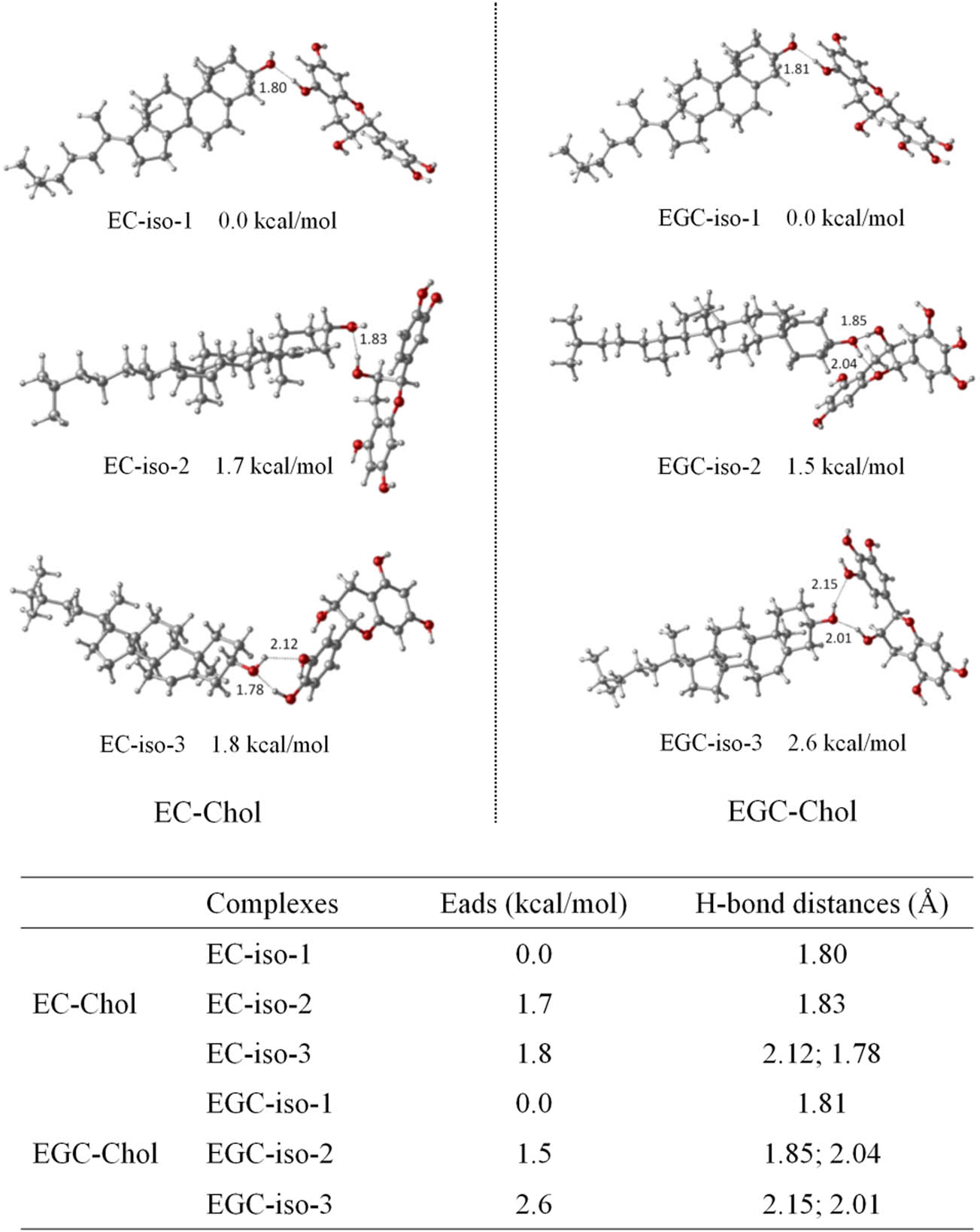 Figure 2 Molecular structures, Eads and H-bond distances of EC–cholesterol (EC–Chol) and EGC–cholesterol (EGC–Chol).