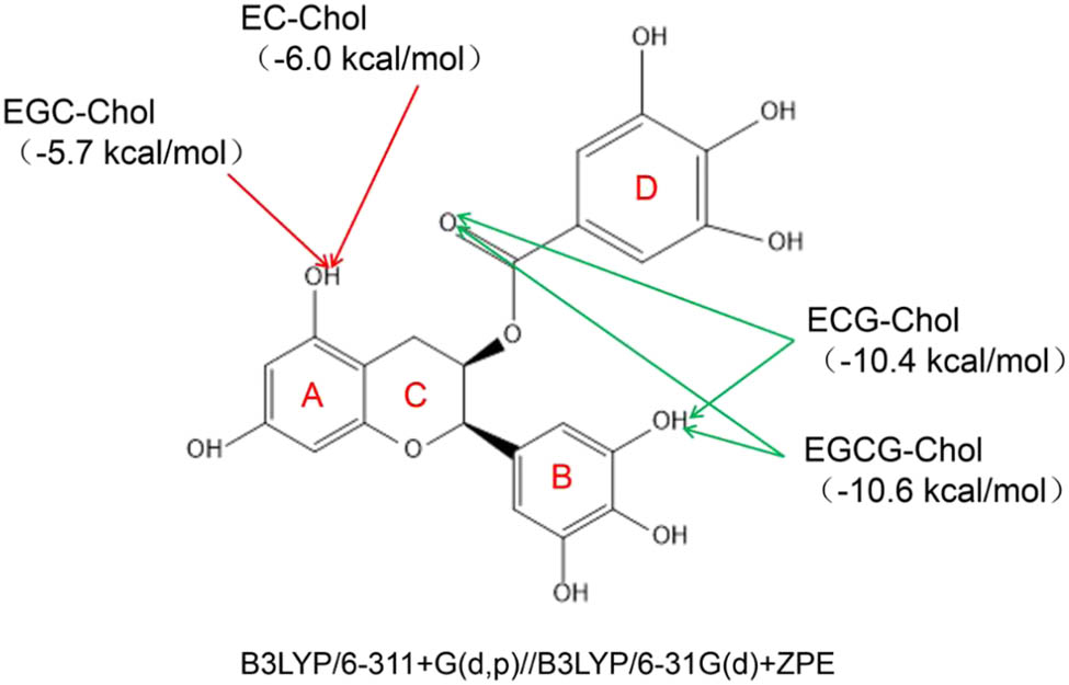 Figure 3 Schematic diagram of adsorption sites.