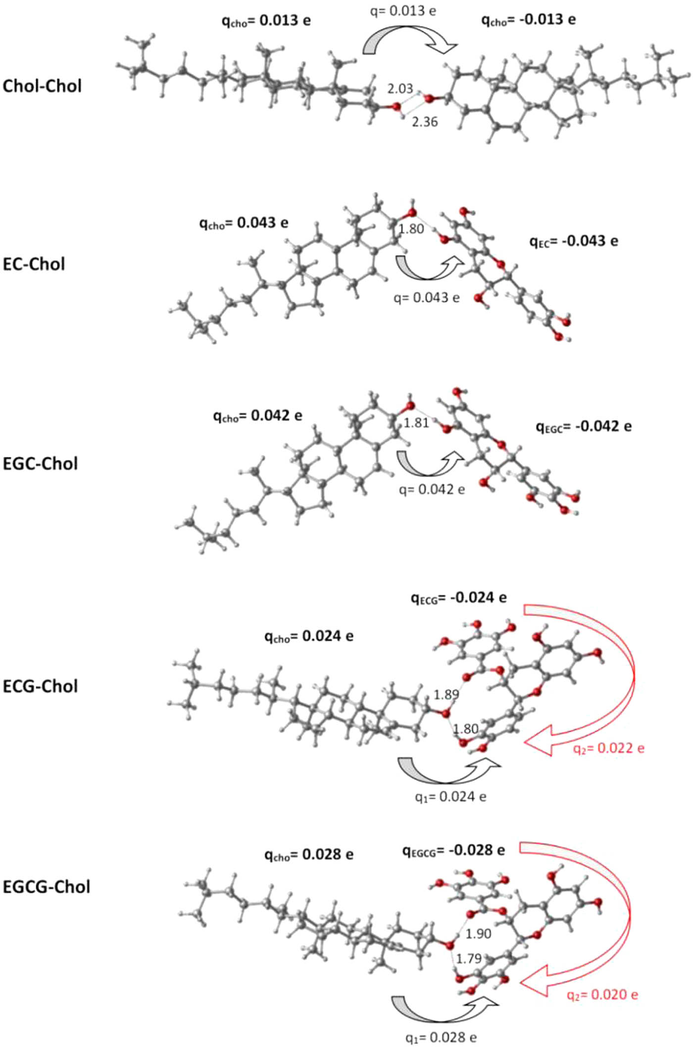 Figure 5 Molecular structures of EC–cholesterol (EC–Chol), EGC–cholesterol (EGC–Chol), ECG–cholesterol (ECG–Chol), EGCG–cholesterol (EGCG–Chol) and cholesterol–cholesterol (Chol–Chol) (the black arrows represent intermolecular charge transfer and the red arrows represent intramolecular charge transfer).