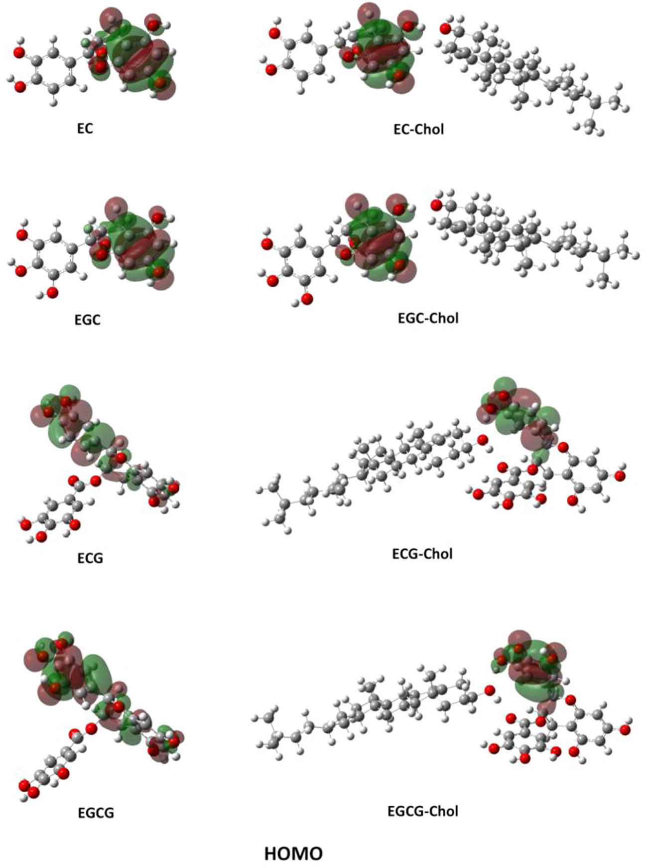 Figure 6 HOMO of EC, EGC, ECG, EGCG and catechin complexes at the level of B3LYP/6-31G(d).