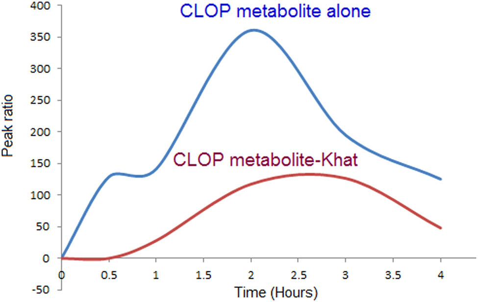 Figure 7 Influence of khat on the level of CLOP active metabolite over time in rat plasm.