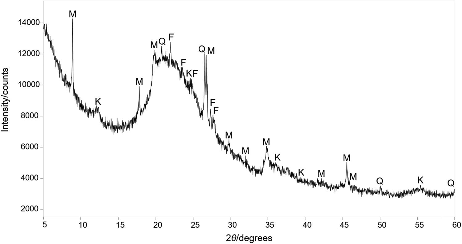 Figure 2
XRPD pattern of the raw DE. The strongest peaks arising from muscovite (M), kaolinite (K), quartz (Q), and feldspars (F) are marked.