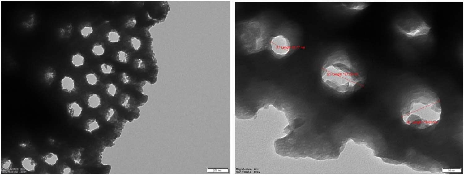Figure 7
TEM analysis of natural DE.