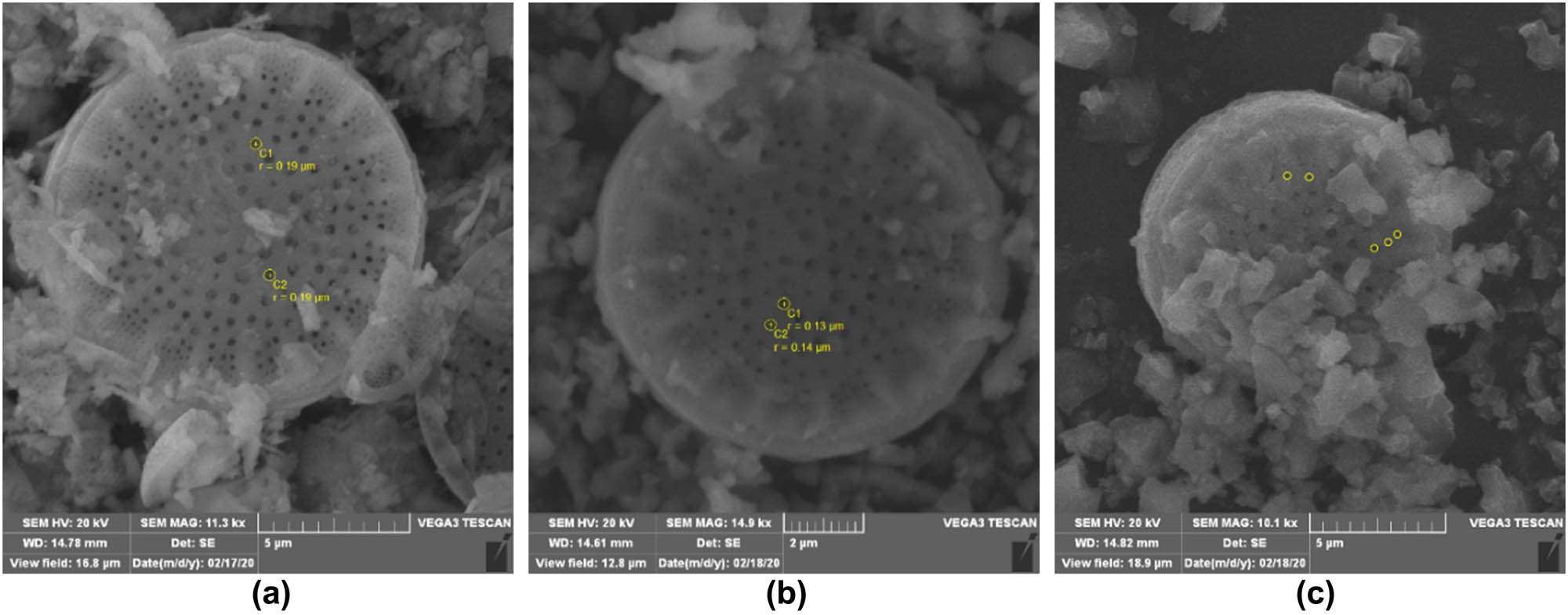 Figure 9
SEM analysis of calcined DE, calcined for 60 min: (a) at 1,000°C, the average pore size 380–400 nm; (b) at 1,100°C, average pore size 260–280 nm; and (c) at 1,200°C, average pore size 120–250 nm.