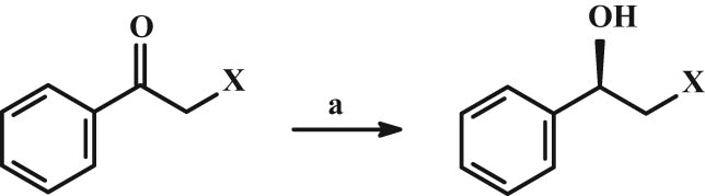 Figure 17 Scheme of stereogenic reduction of acetophenone derivatives X = Cl, Br. (a) BH3·S(CH3)2 in THF or NaBH4 or Rhodotorula rubra microbial culture; sodium lauryl sulfate.