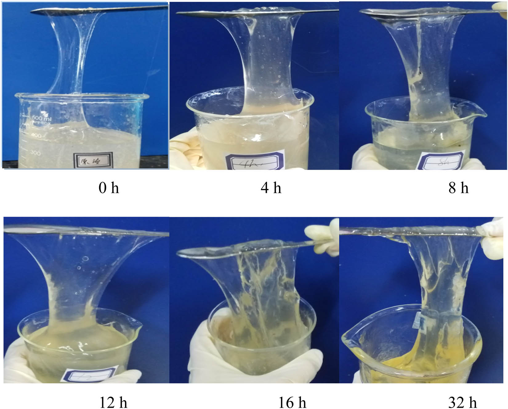Figure 2 Appearance of the supramolecular plugging system at different aging time.