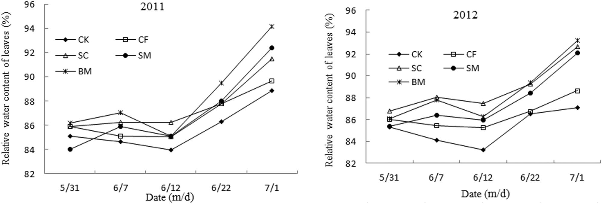 Figure 2 Effects of different fertilizer treatments on the relative leaf water content of pear jujube.