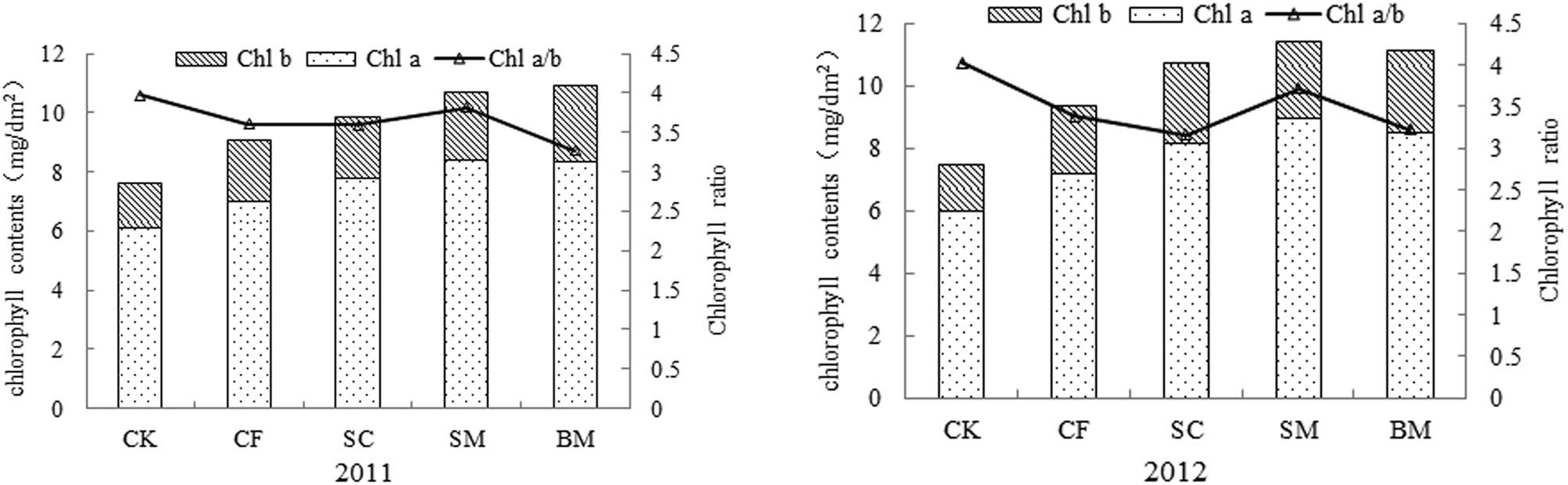 Figure 3 Effects of different fertilizer treatments on the chlorophyll contents of pear jujube.