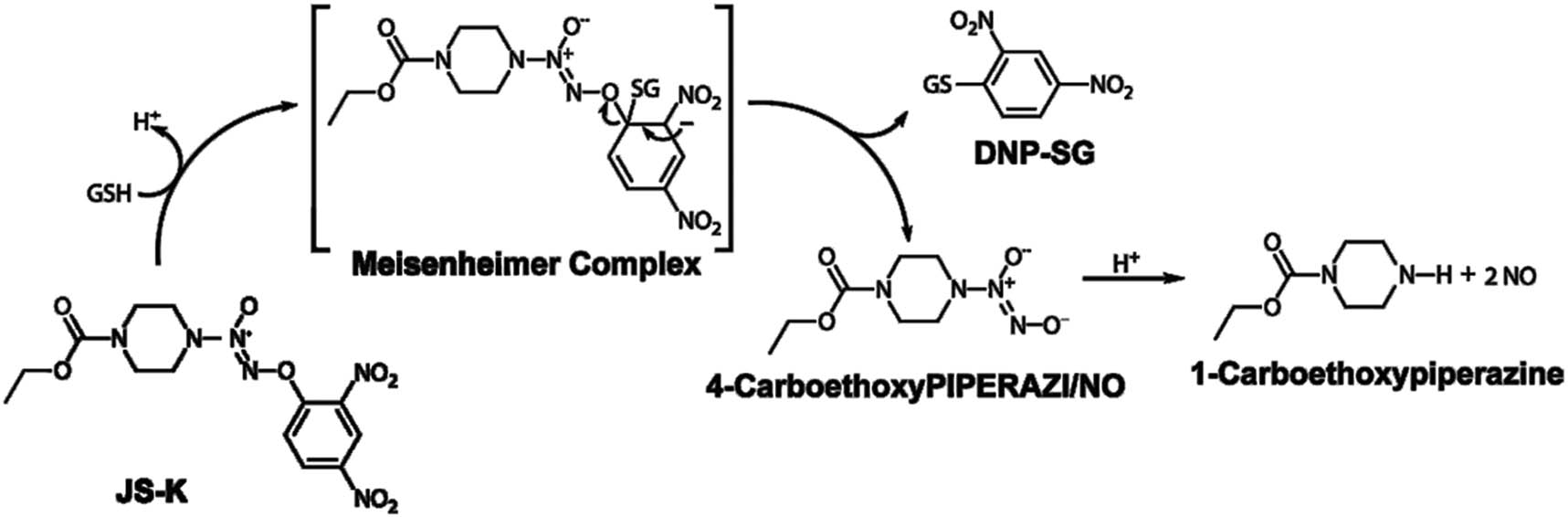 Figure 1
The structure of JS-K and release of NO.