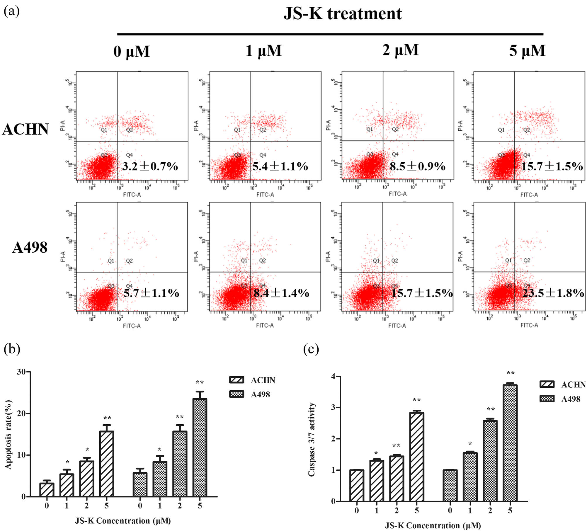 Figure 3
JS-K induces apoptosis in renal carcinoma cells. (a and b) JS-K-induced renal carcinoma cell apoptosis was analyzed by flow cytometry by using the staining method of Annexin V. Cells untreated were studied as controls. (c) Renal carcinoma cells were treated for 360 min with JS-K (0, 1, 2, and 5 μM) and then intracellular activity of caspase-3/7 was detected. For at least three separate assays, findings are reported as mean ± SD. Single asterisks (*) show a substantial difference (P < 0.05), and double asterisks (**) show a very important difference (P < 0.01).