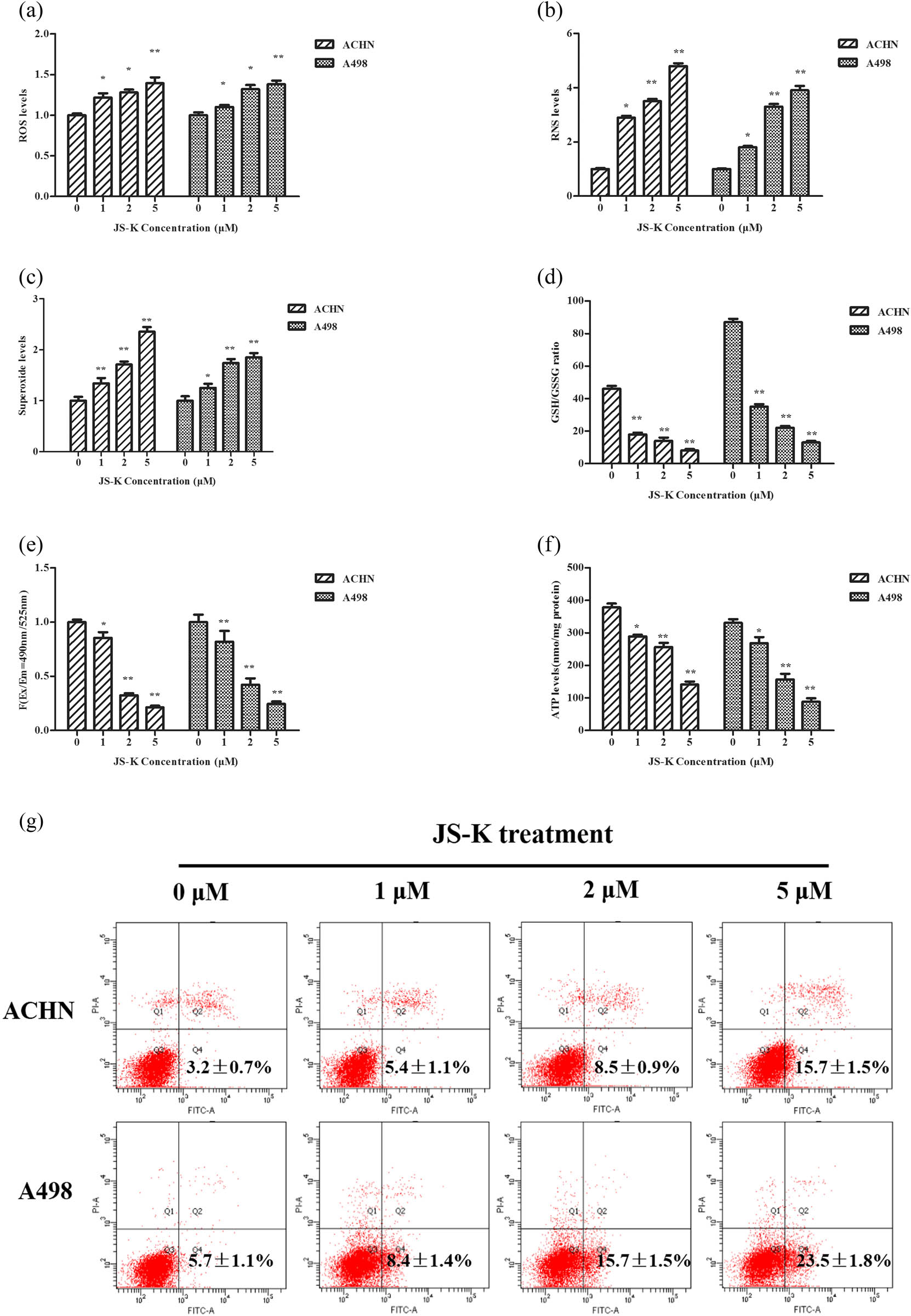 Figure 4
Effect of JS-K on ROS, RNS, mitochondrial membrane potential, GSH/GSSG ratio, ATP production, and apoptotic-related proteins in renal carcinoma cells. Treatment of JS-K renal carcinoma cells (0, 1, 2, and 5 μM) for 360 min, and then detection of intracellular maximum ROS (a), RNS (b), superoxide (c), and GSH/GSSG ratio (d) levels. Upon 360 min of JS-K treatment, measurements were made for mitochondrial membrane potential (e) and ATP output (f and g). Western blot was used to identify concentrations of apoptotic-related proteins such as Bak, Bax. and PARP after cells were treated with JS-K (0, 1, 2, and 5 μM) for 24 h. For at least three separate assays, findings are reported as mean ± SD.