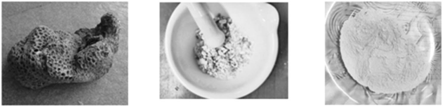 Figure 1 The process of scouring the coral becomes powder.