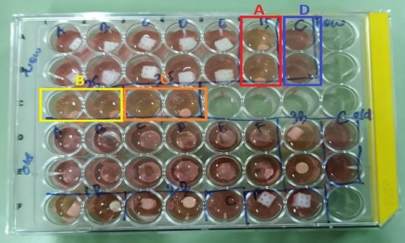 Figure 2 Incubation of collagen-composite biomaterials.
