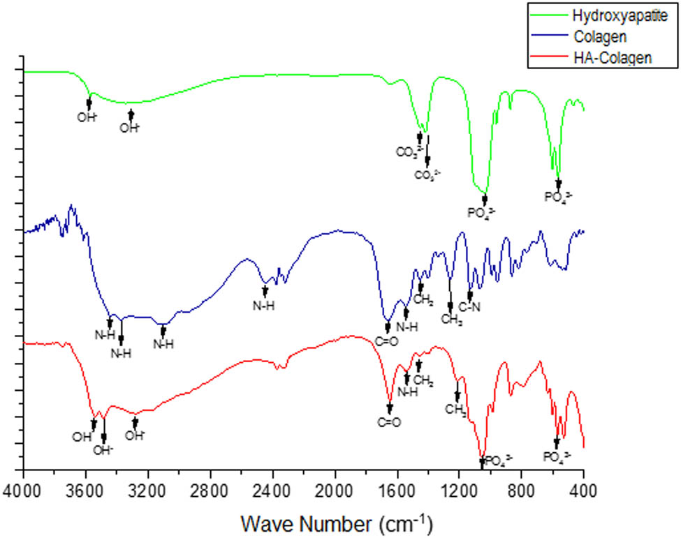 Figure 5 FTIR of HA, collagen, and collagen–HA composite.