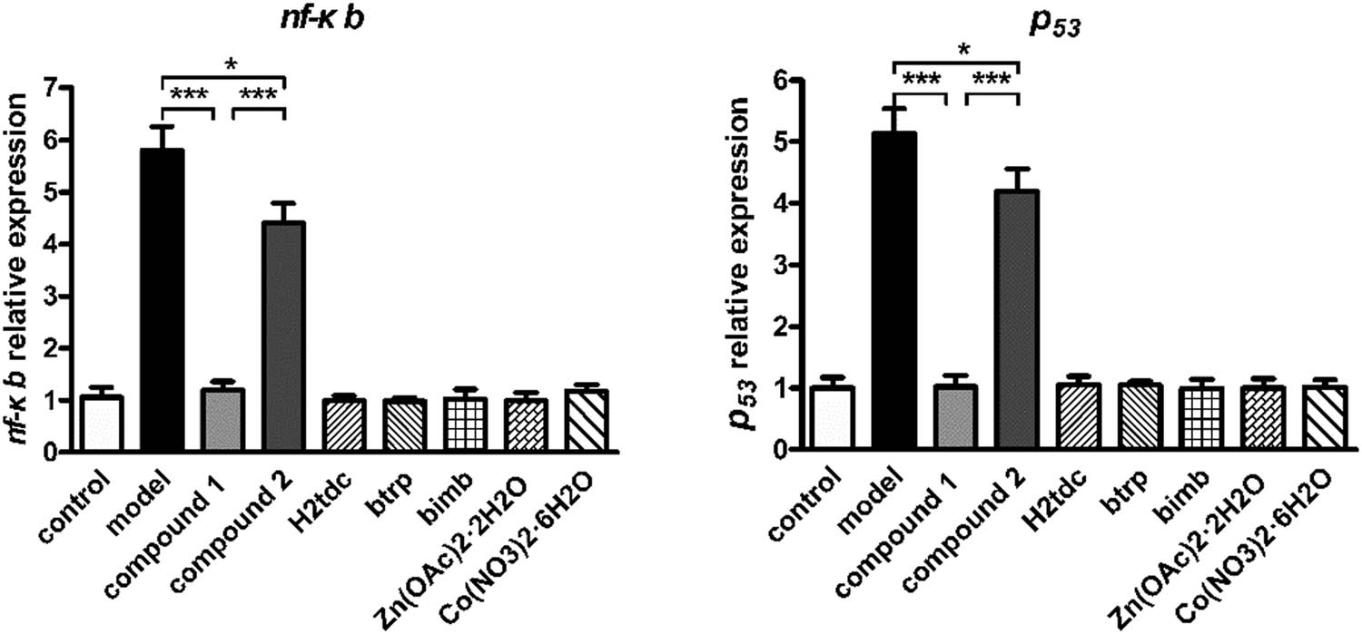 Figure 4
Reduced the expression level of inflammatory genes
nf-κb and p53 in periodontal
mucosal cells. The periodontitis rat model was constructed, and then treated by
compounds 1 and 2 at the concentration of
5 mg/kg. The expression level of inflammatory genes
nf-κb and p53 in periodontal
mucosal cells was measured with real-time RT-PCR.