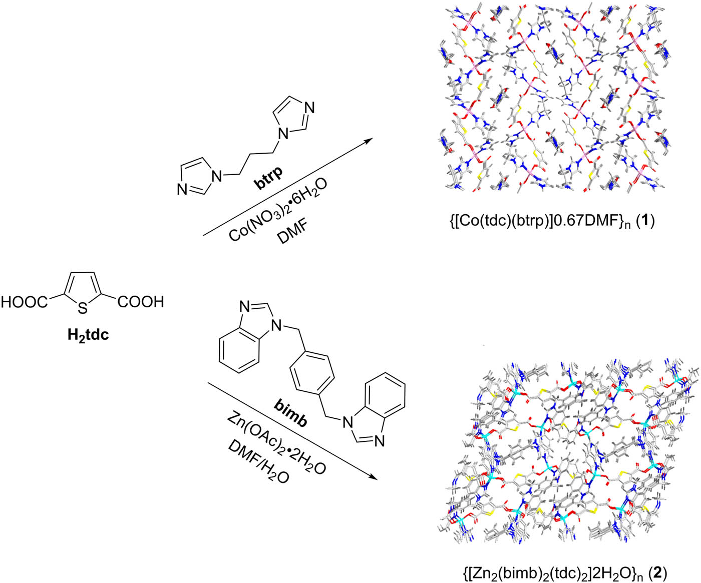 Scheme 1
The synthesis routes for the two complexes in this work.