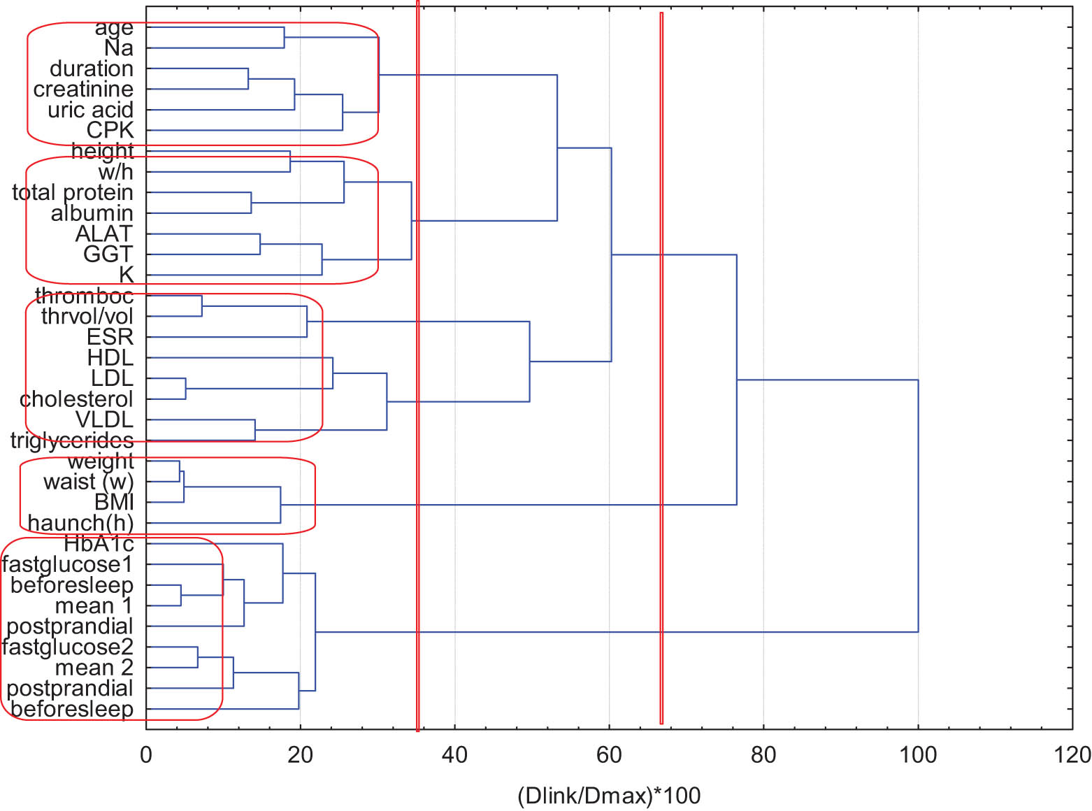 Figure 4 Hierarchical dendrogram for linkage of clinical parameters for the group of DMT2 patients.