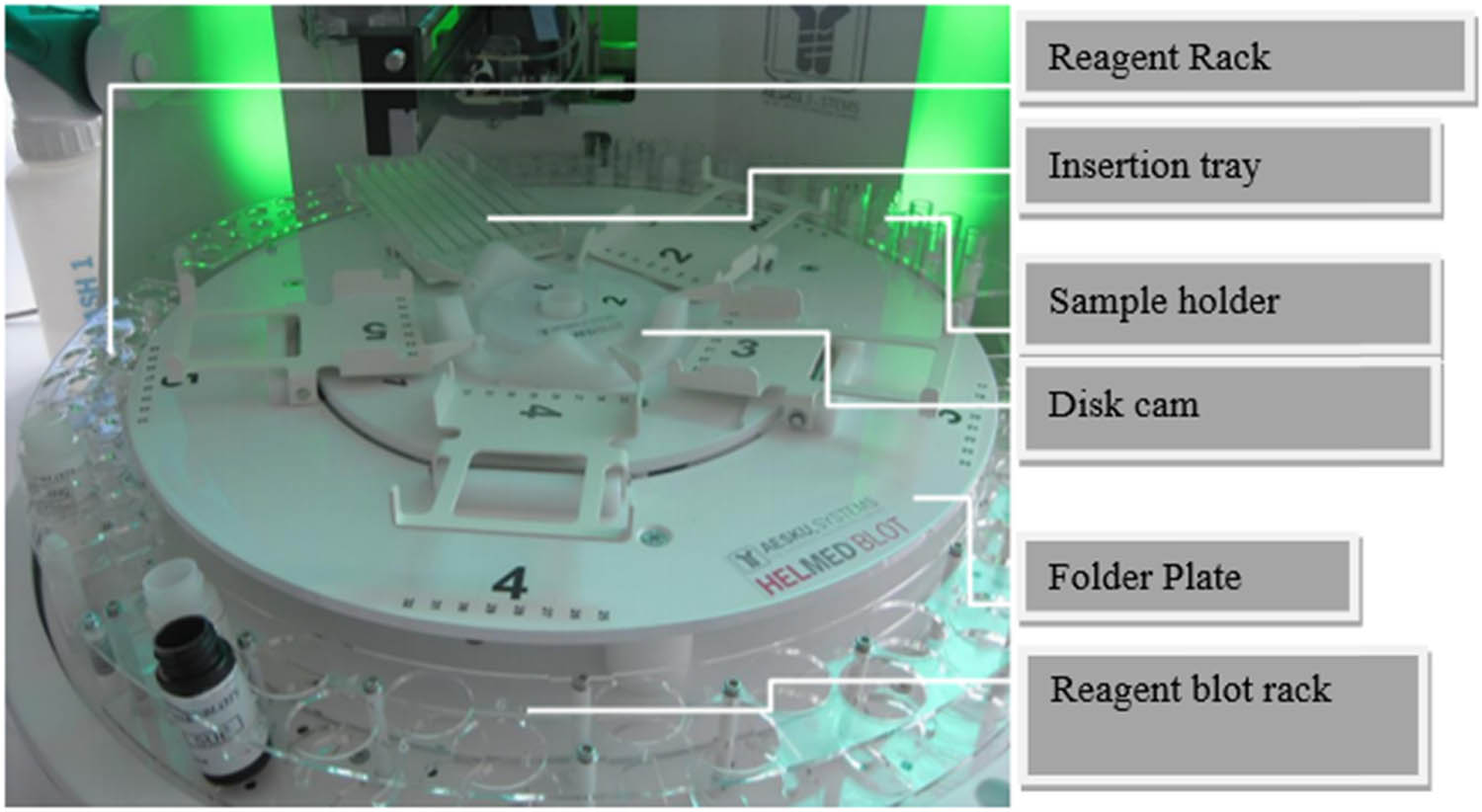 Figure 1
Immunoblot image (Blot-17, HELMED).