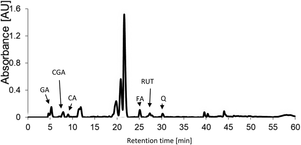Figure 1 HPLC profile of the extract prepared from Fructus Crataegi (samples no. 2) recorded with UV-Vis detector: for gallic acid (5.12 min, GA), chlorogenic acid (7.54 min, CGA), caffeic acid (8.85 min, CGA), ferulic acid (25.76 min, FA), rutin (27.98 min, RUT), and quercetin (30.89 min, Q).