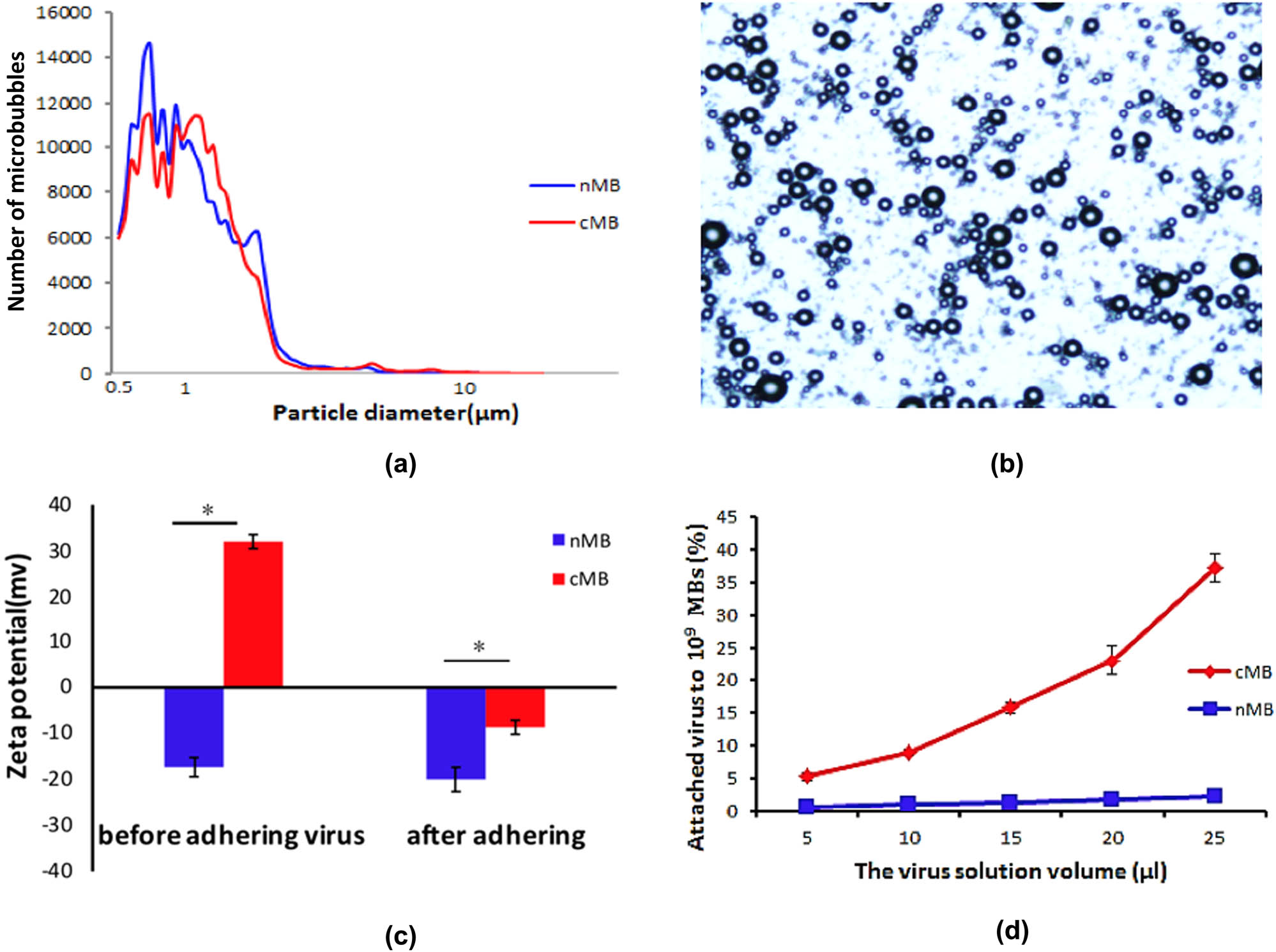 Figure 1 Characterization of virus-loaded microbubbles. (a) Particle size distribution of nMB (normal microbubbles) and cMB (cationic microbubbles); (b) observation of microbubbles in a light field; (c) potential change in microbubbles after adding virus, nMB, and cMB; and (d) percentage of virus adhering to microbubbles.