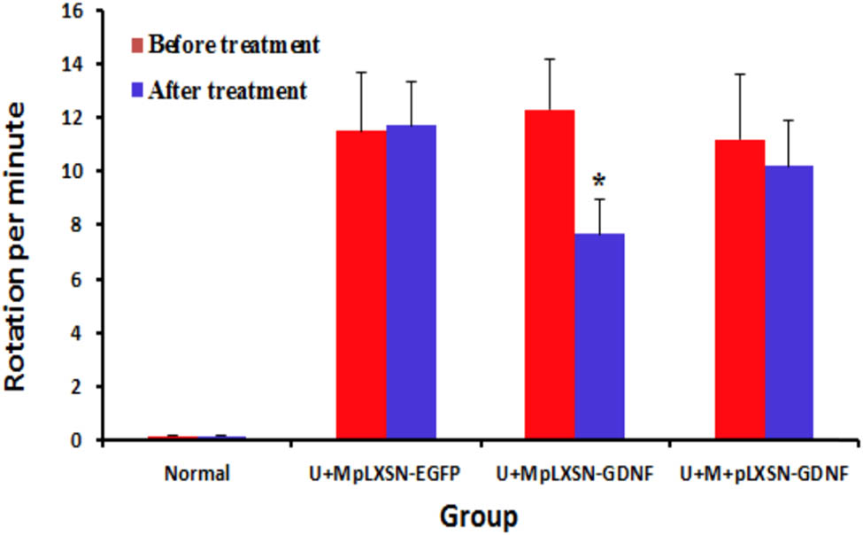Figure 3 Rotation test after 8 weeks of treatment; the rats were subjected to an apomorphine-induced rotation test to the left by intraperitoneal injection of 0.5 mg/kg apomorphine. The U + M + pLXSN-GDNF group showed a significant difference between before and after treatment, *P < 0.05.