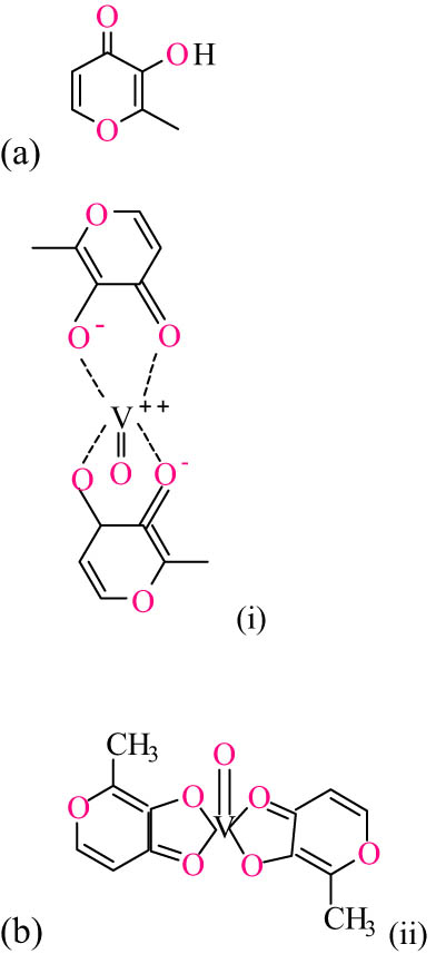 Figure 9
(a) Chemical structure of maltol (ligand). (b) Chemical structure of bis(maltolato)oxovanadium(iv) (BMOV) in ionic (i) and neutral (ii) forms.