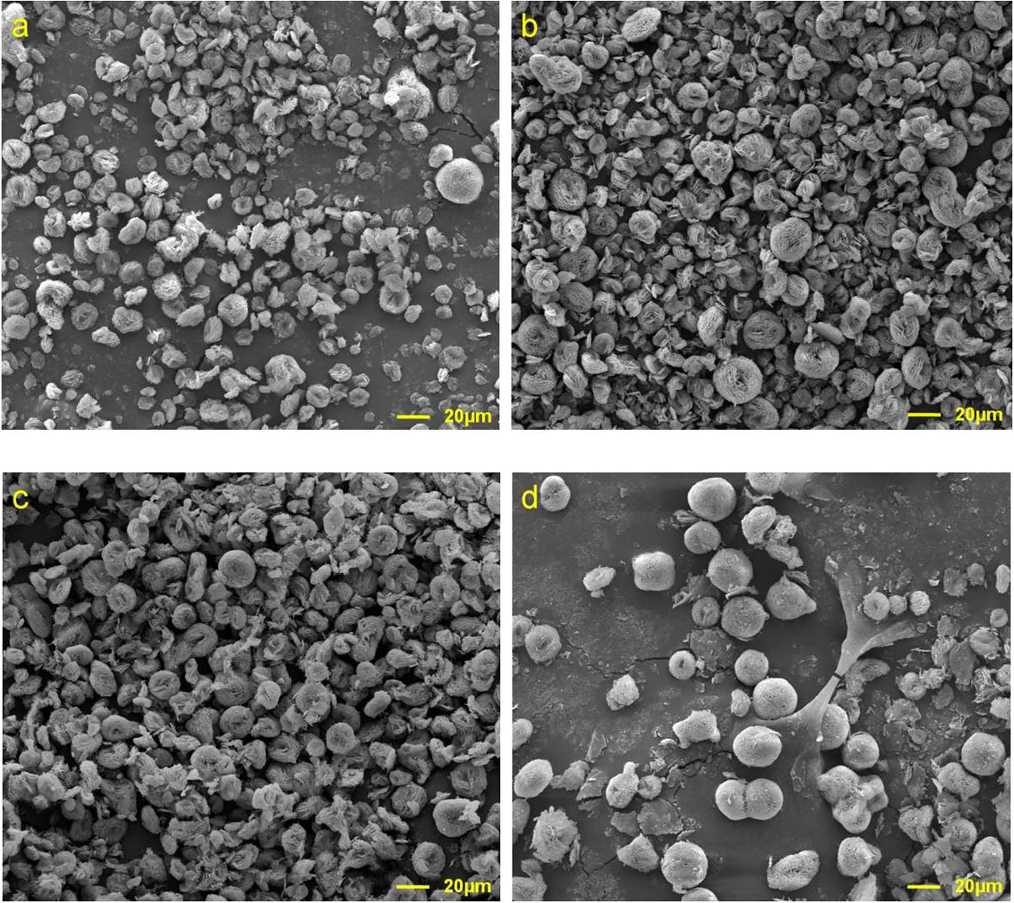 Figure 5 SEM images for the carbonation products from different aging times: (a) 1 h, (b) 4 h, (c) 8 h, and (d) 12 h.
