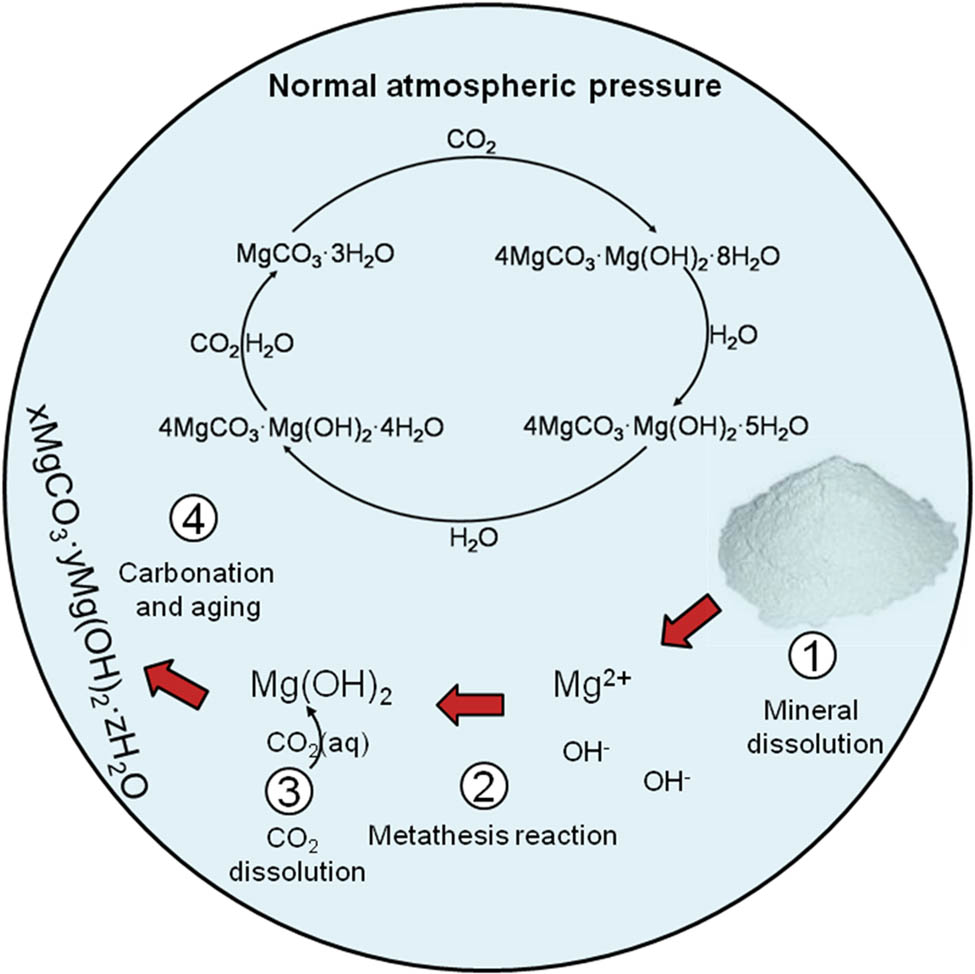 Figure 10 Schematic diagram of the production of magnesium carbonate hydrate with different morphologies during talc carbonation.