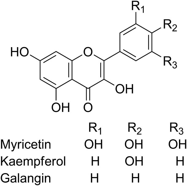 Figure 7 The chemical structures of myricetin, kaempferol, and galangin.