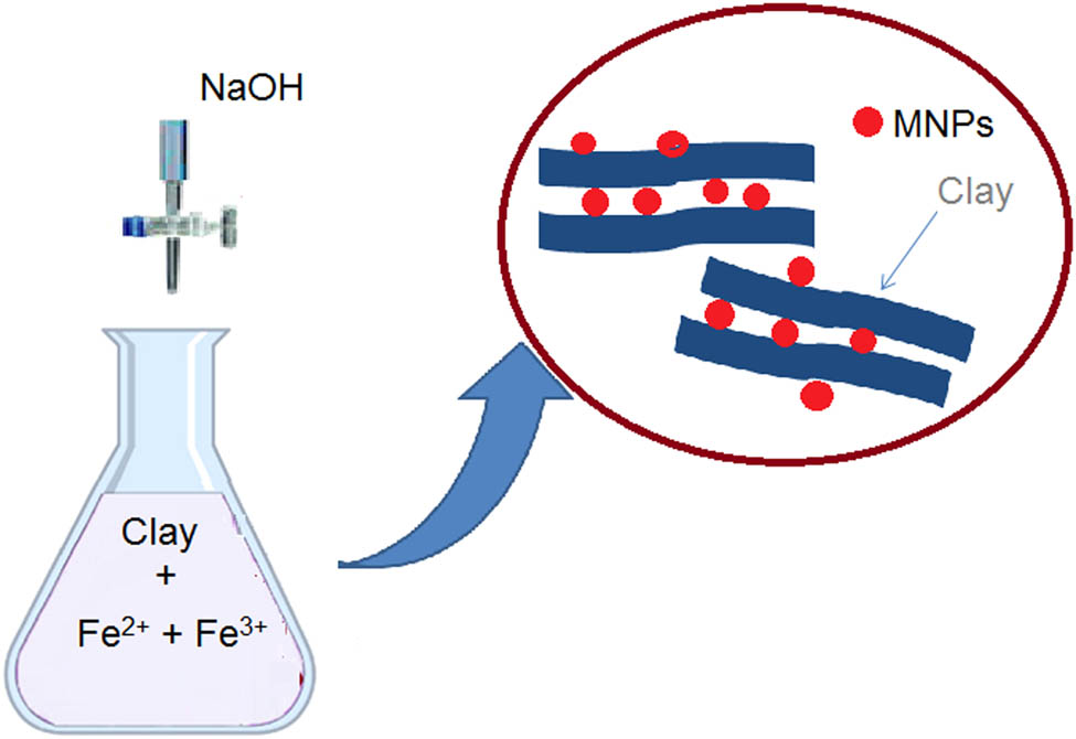 Figure 2 Schematic representation of the co-precipitation method.